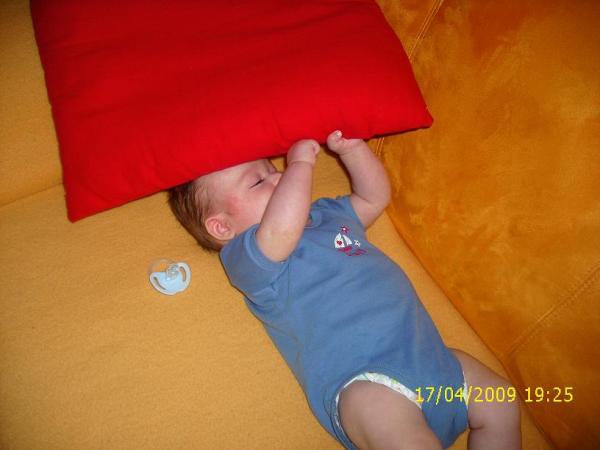 Bild zu 