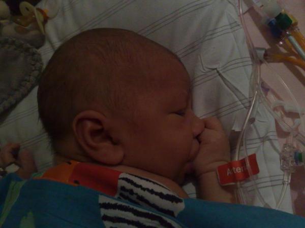 Bild zu 