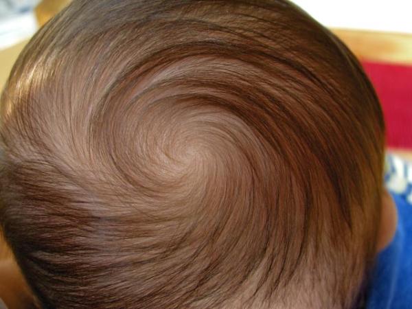Bild zu Ein schicker Hinterkopf... - Forum für Januar - Mamis