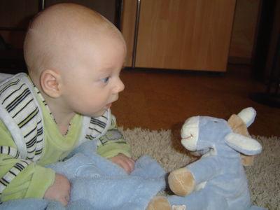 Bild zu 