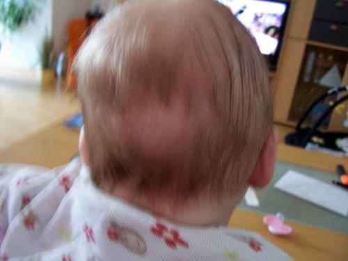 Bild zu 