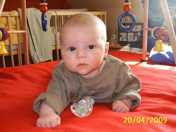 Bild zu