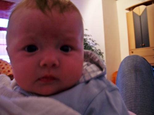 Bild zu