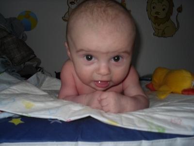 Bild zu 