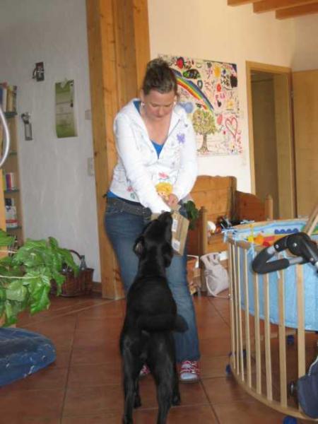 Bild zu Für Paulara/Ane/Paula;-))) - Forum für Januar - Mamis