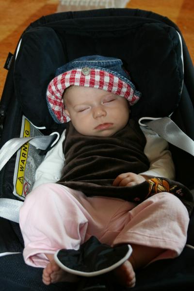 Bild zu 