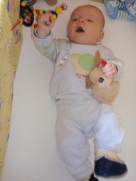 Bild zu 