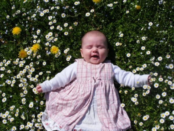 Bild zu der frühling ist da - Forum für Januar - Mamis