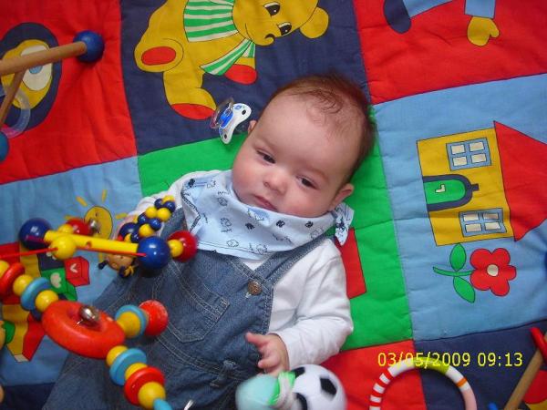 Bild zu