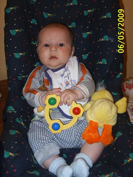 Bild zu