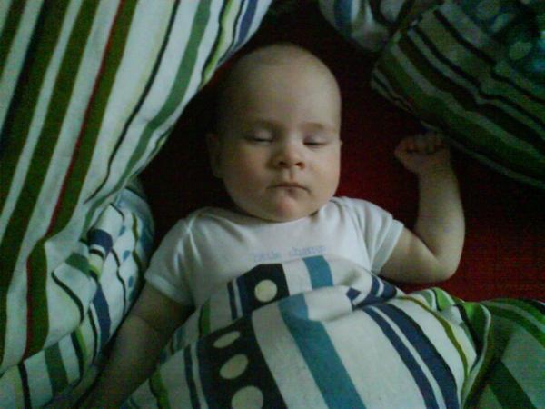 Bild zu 