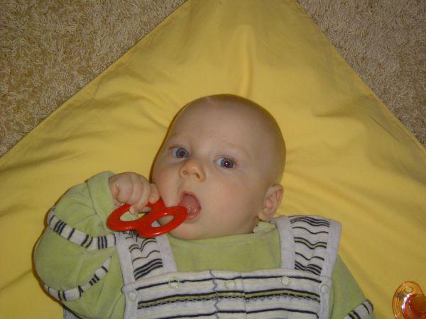 Bild zu 