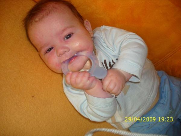 Bild zu