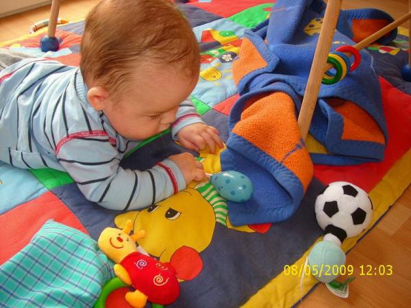 Bild zu 
