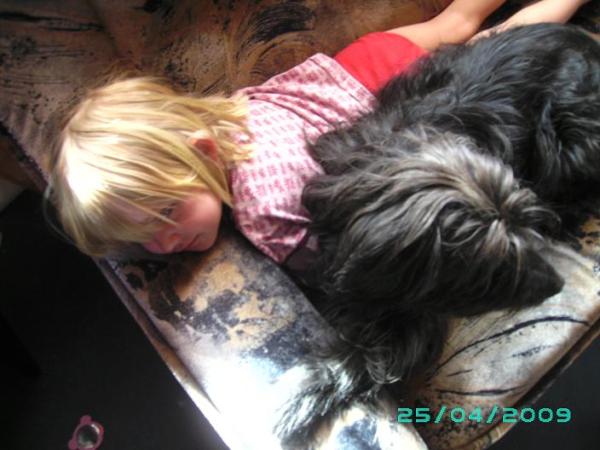 Bild zu 