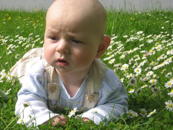 Bild zu Zeigt her eure Gänseblümchenfotos - Forum für Januar - Mamis