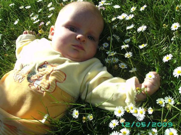 Bild zu so hab auch mal mein kind in unsre gänseblümchen gelegt hihi - Forum für Januar - Mamis