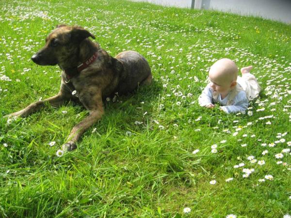 Bild zu