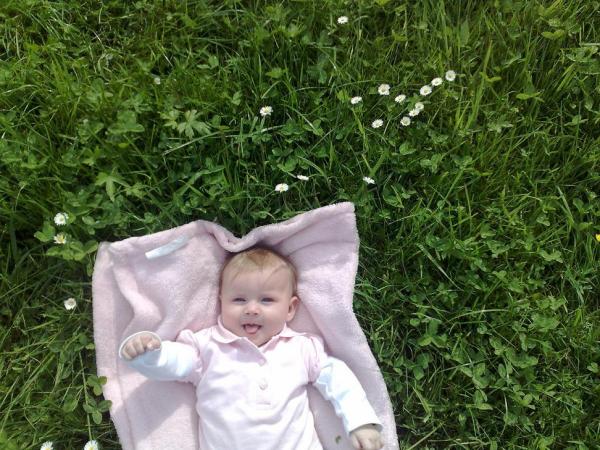 Bild zu 