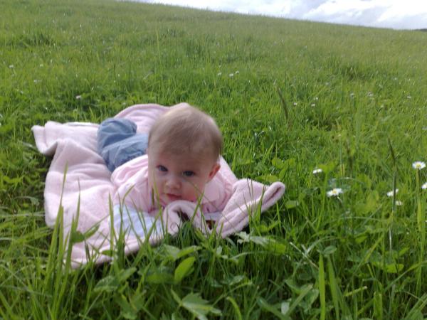 Bild zu