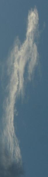 Bild zu guckt mal,habe heute ein foto gemacht und ich finde - Forum für Januar - Mamis