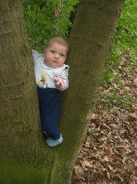 Bild zu schaut mal,habe im wald heute einen wichtel gefunden :-) - Forum für Januar - Mamis