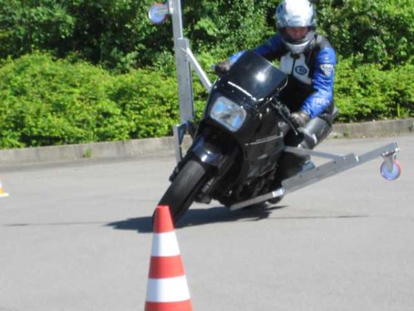 Bild zu