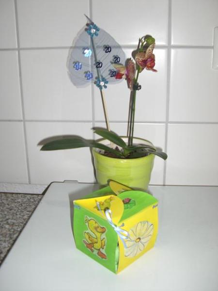 Bild zu