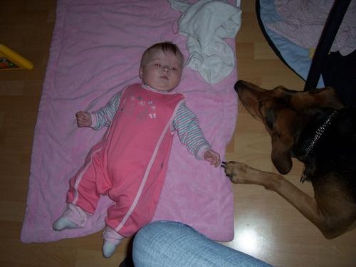 Bild zu