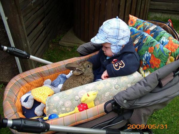 Bild zu 