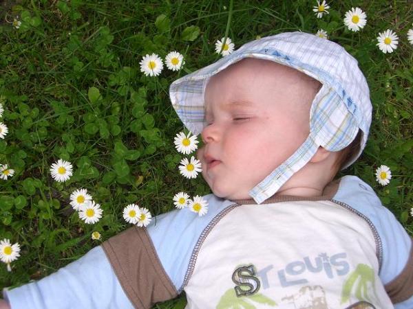 Bild zu 