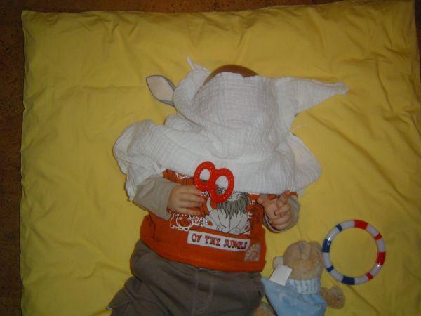 Bild zu