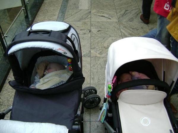 Bild zu 
