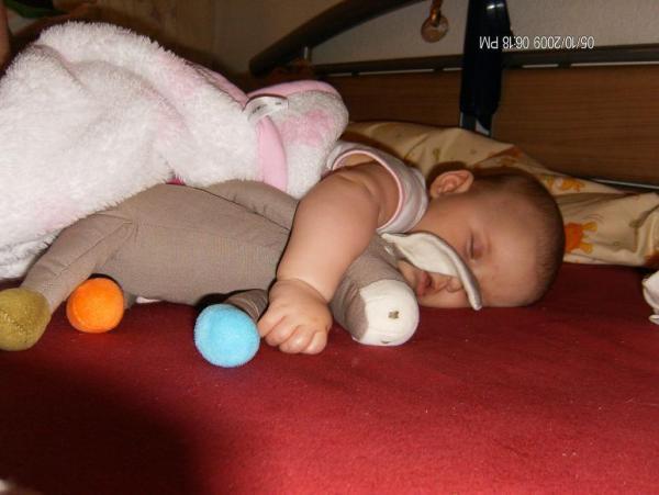 Bild zu 