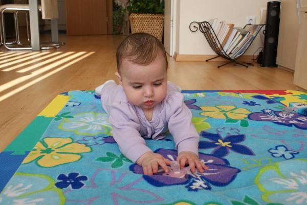 Bild zu
