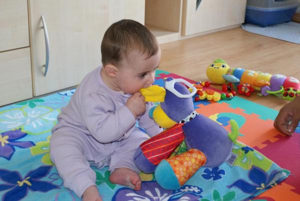 Bild zu