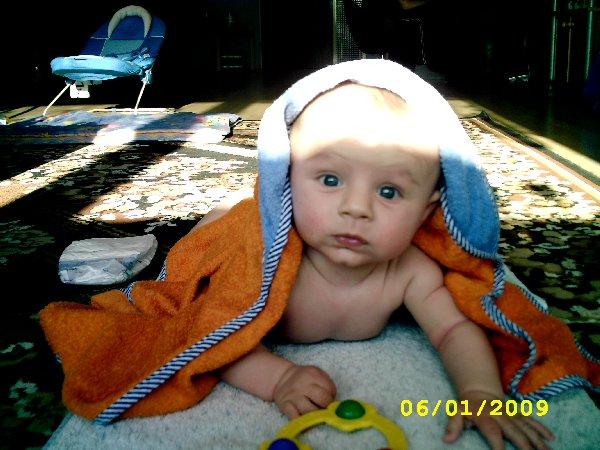 Bild zu
