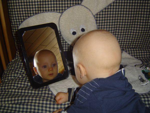 Bild zu 
