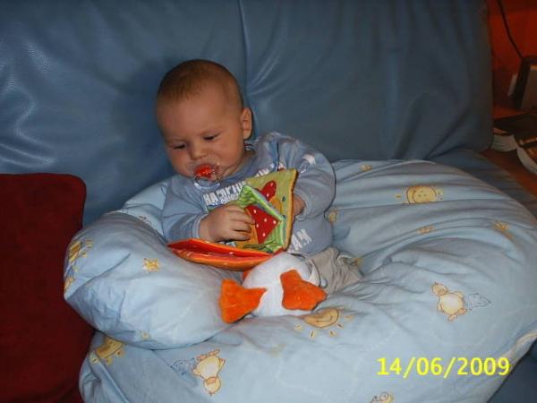 Bild zu 