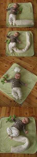 Bild zu 