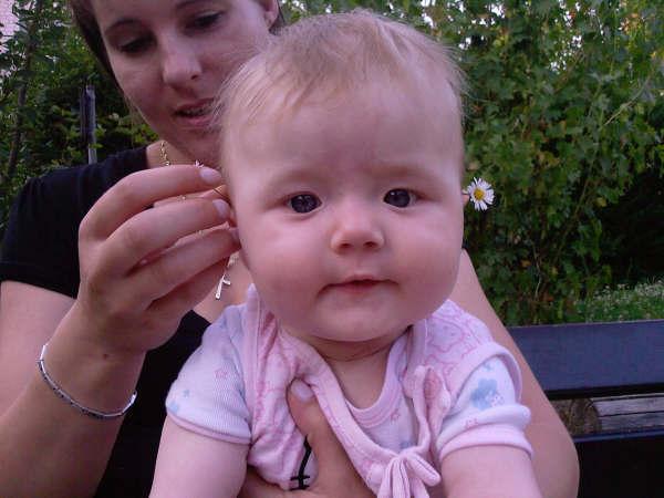 Bild zu 