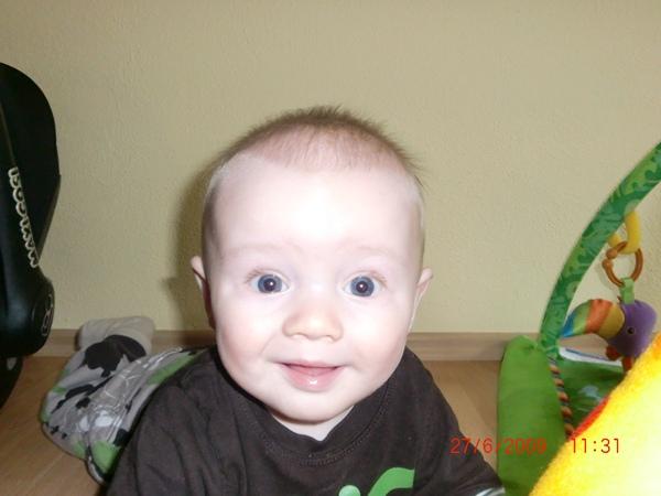 Bild zu