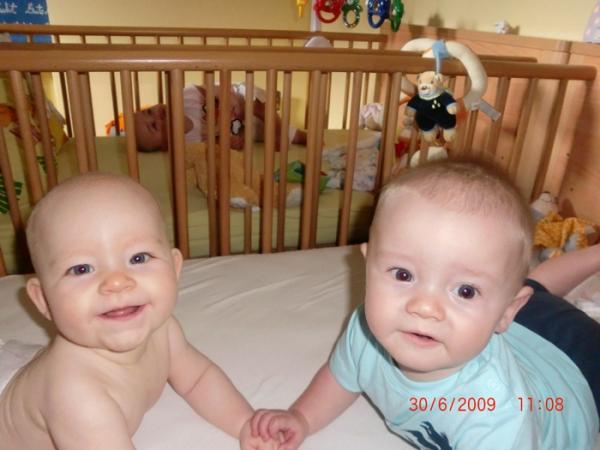 Bild zu