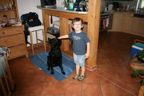 Bild zu 
