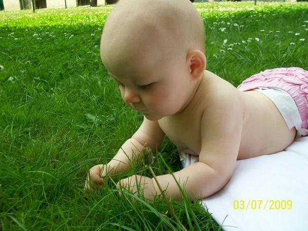 Bild zu 