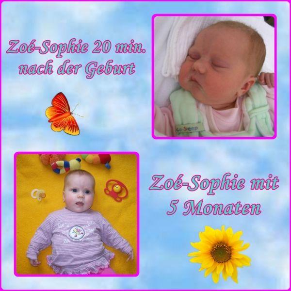 Bild zu 