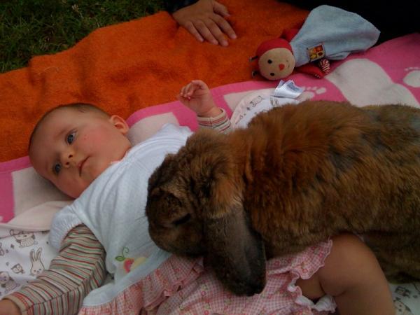 Bild zu Karnickel fetter als mein Baby... - Forum für Januar - Mamis