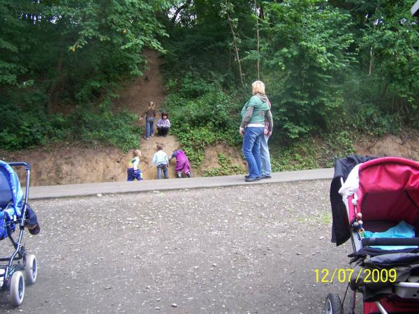 Bild zu 