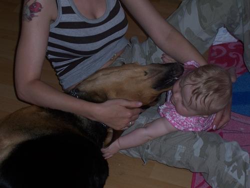 Bild zu 