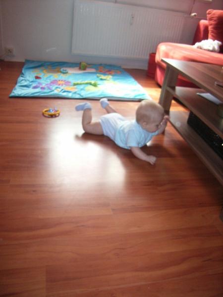 Bild zu